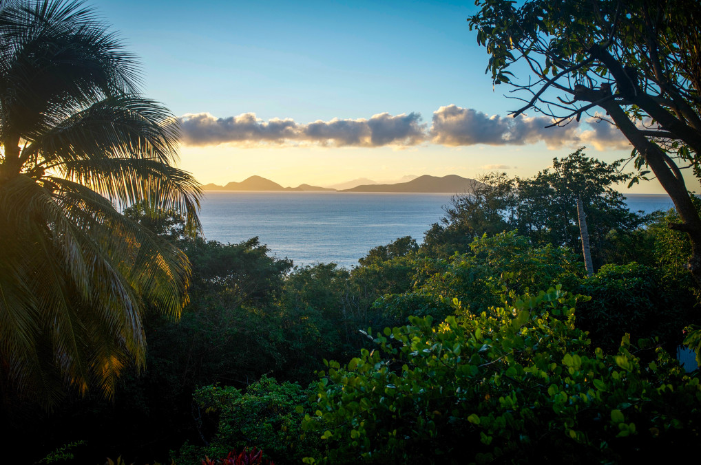 Ecovacances paradisiaques sur l’île papillon